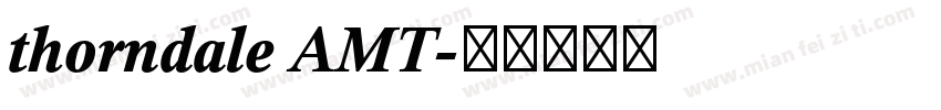 thorndale AMT字体转换